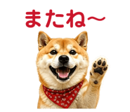 842642483