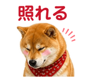 842642484
