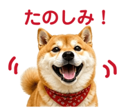 842642487