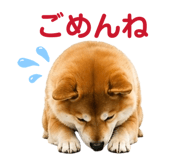 842642489