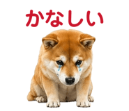 842642491