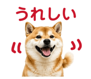 842642494