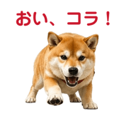842642495