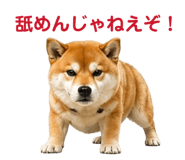 842642496