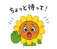 842642624