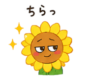 842642628