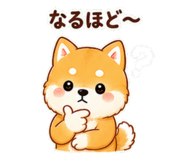 842642870