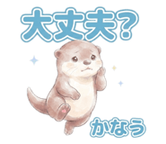 842642902