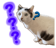 842643107