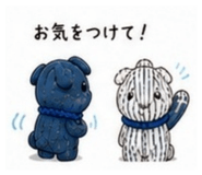 842643124