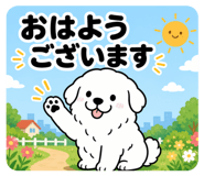 842643221