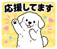 842643222