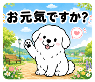 842643223