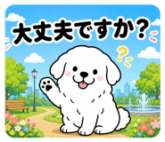 842643226