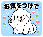 842643240