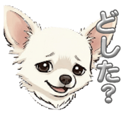 842643278