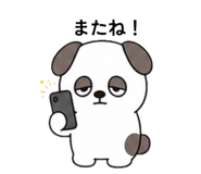 842643398