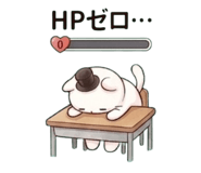 842643427