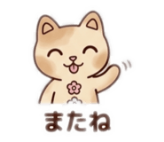 842643536