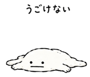 842643562