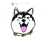 842643774