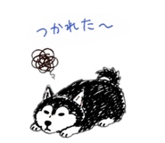 842643781