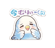 842643900