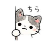 842643917