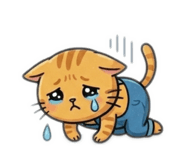 842644152