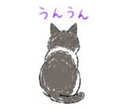 842644294
