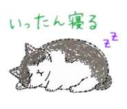 842644303