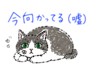 842644307