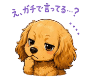 842644373