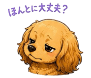 842644374
