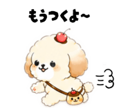 842644385