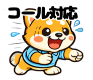 842644411