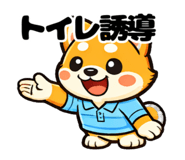 842644412