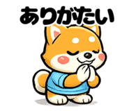 842644421