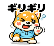 842644427