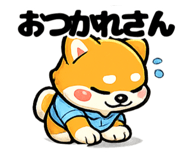 842644440
