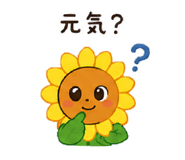 842644624
