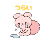 842644844