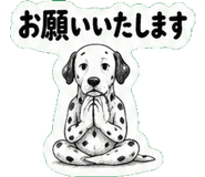 842644990