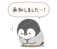842645017