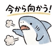 842645220