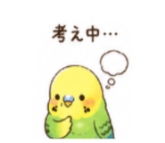 842645577