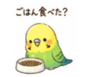 842645580