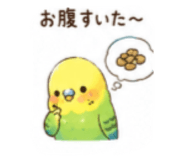 842645586