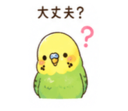 842645587