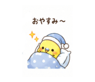 842645596